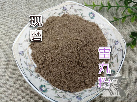 Pure Powder Lei Wan 雷丸, Omphalia Fruiting Body, Mylitta, Thunderball Fungus-[Chinese Herbs Online]-[chinese herbs shop near me]-[Traditional Chinese Medicine TCM]-[chinese herbalist]-Find Chinese Herb™