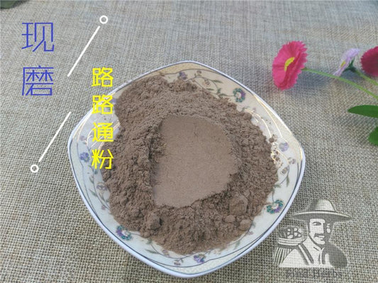 Pure Powder Lu Lu Tong 路路通, Beautiful Sweetgum Fruit, Fructus Liquidambaris-[Chinese Herbs Online]-[chinese herbs shop near me]-[Traditional Chinese Medicine TCM]-[chinese herbalist]-Find Chinese Herb™