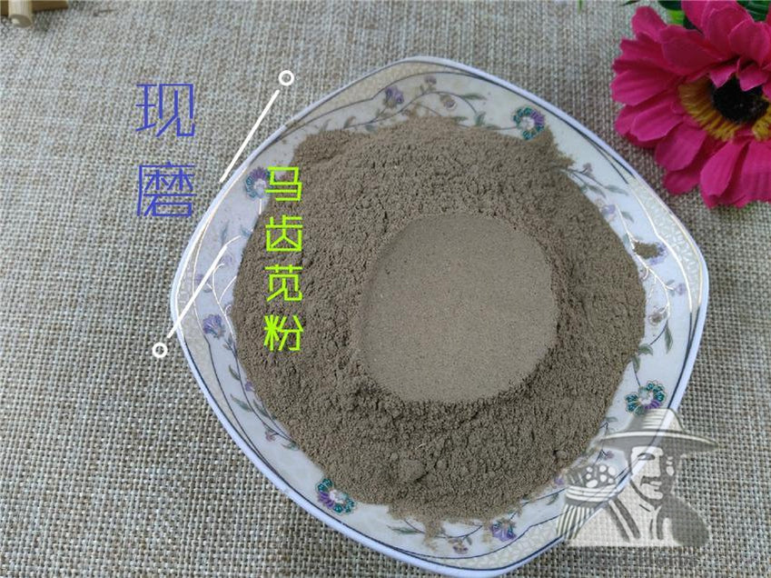 Pure Powder Ma Chi Xian 馬齒莧, Herba Portulacae, Parslane Herb, Chang Shou Cai-[Chinese Herbs Online]-[chinese herbs shop near me]-[Traditional Chinese Medicine TCM]-[chinese herbalist]-Find Chinese Herb™