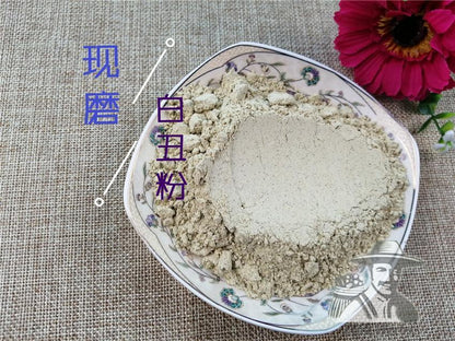 Pure Powder Qian Niu Zi 牵牛子, Bai Chou 白丑, White Semen Pharbitidis, Pharbitis Seed-[Chinese Herbs Online]-[chinese herbs shop near me]-[Traditional Chinese Medicine TCM]-[chinese herbalist]-Find Chinese Herb™