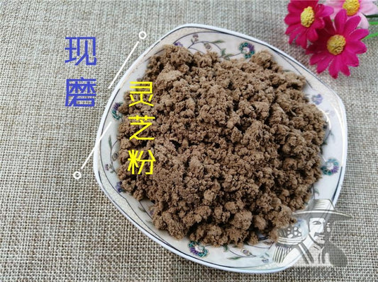 Pure Powder Reishi Mushroom, Chinese Ganoderma Lucidum, Ling Zhi 灵芝-[Chinese Herbs Online]-[chinese herbs shop near me]-[Traditional Chinese Medicine TCM]-[chinese herbalist]-Find Chinese Herb™