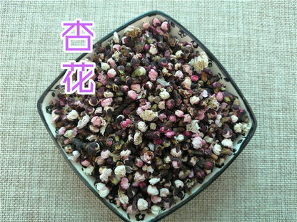 Pure Powder Xing Hua 杏花, Apricot, Armenian Plum, Prunus Armeniaca-[Chinese Herbs Online]-[chinese herbs shop near me]-[Traditional Chinese Medicine TCM]-[chinese herbalist]-Find Chinese Herb™