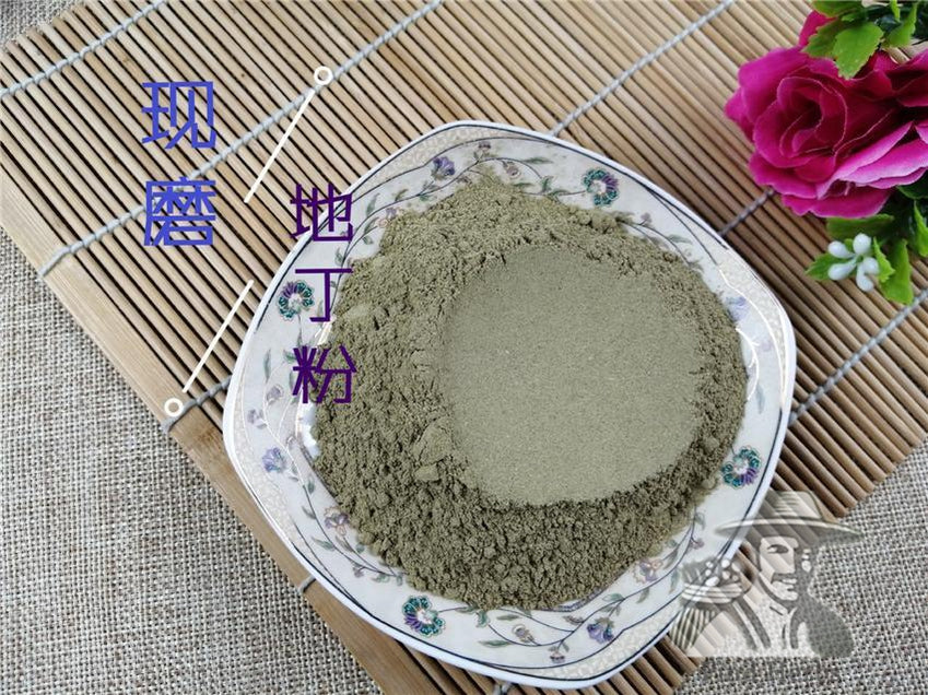 Pure Powder Zi Hua Di Ding 紫花地丁, Herba Violae, Philippine Violet Herb, Viola Philippica-[Chinese Herbs Online]-[chinese herbs shop near me]-[Traditional Chinese Medicine TCM]-[chinese herbalist]-Find Chinese Herb™